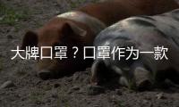 大牌口罩？口罩作为一款爆款单品走入时尚圈